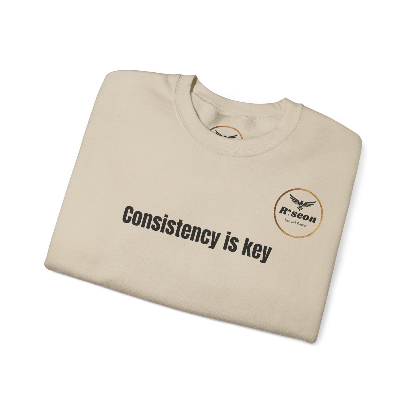 Consistency Is Key Sweatshirt — Motivational Crewneck with Eagle Logo